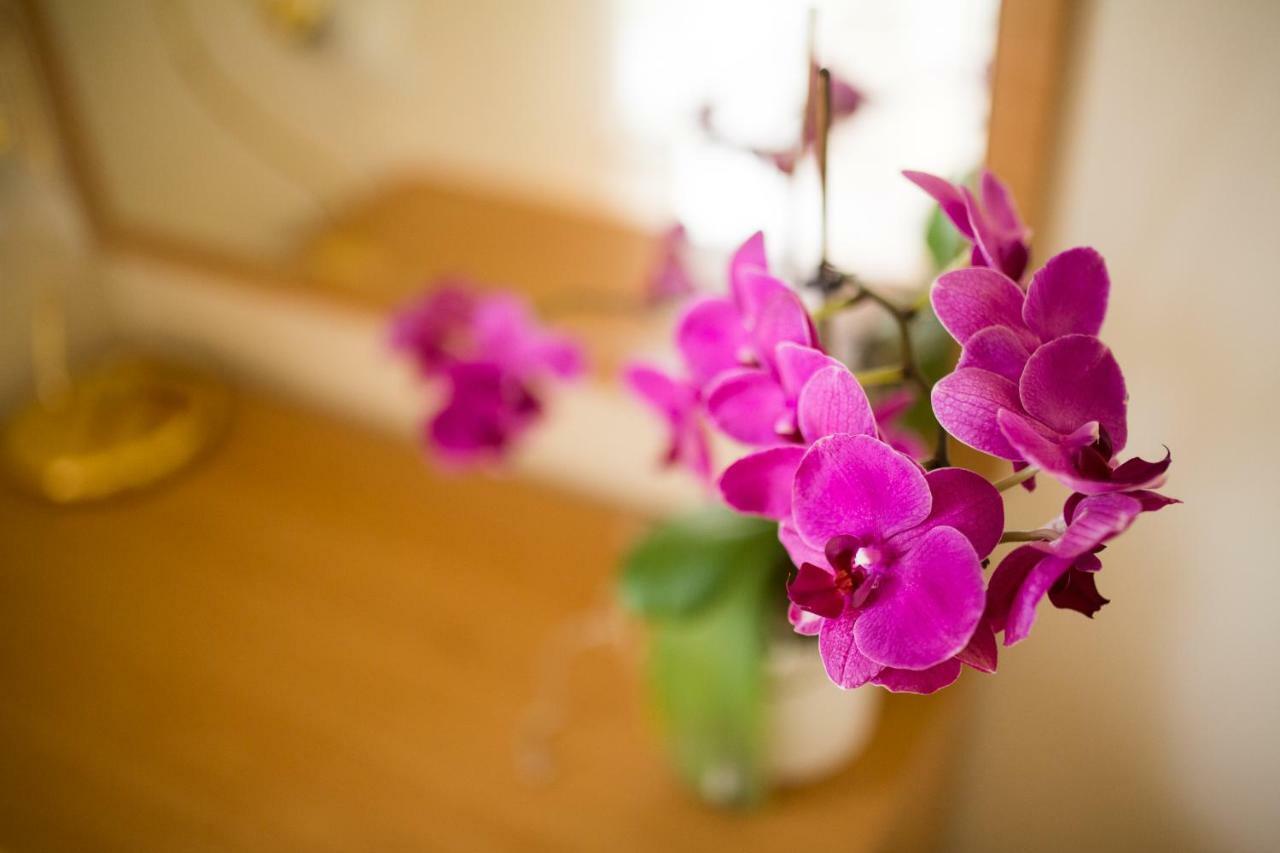 Apartments Villa Majda มาทุลยี ภายนอก รูปภาพ